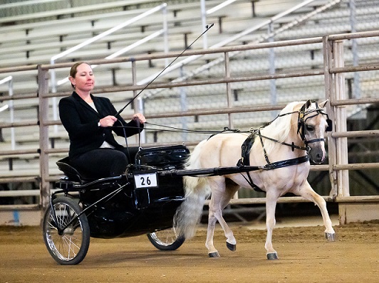 Daystar RM Classic 25 big W.jpg